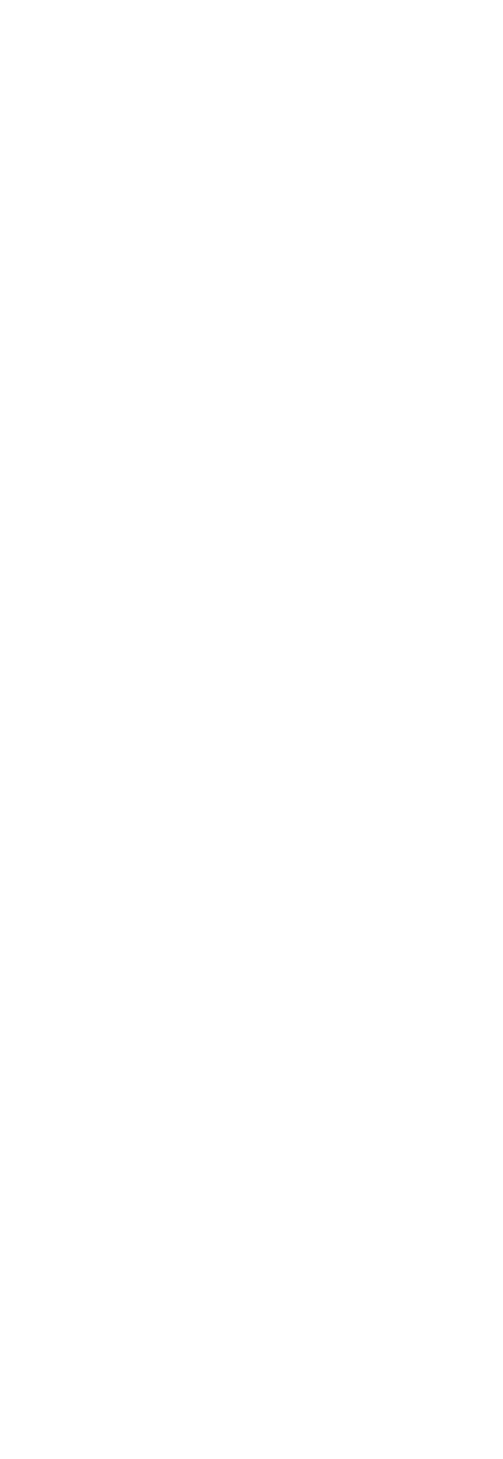 スライド上画像
